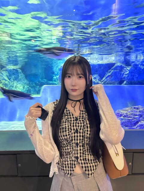 苗加結菜