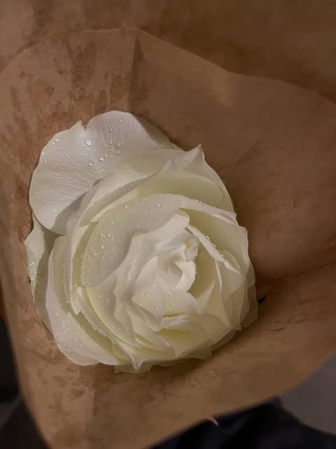 吉田莉桜