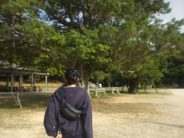 吉田莉桜